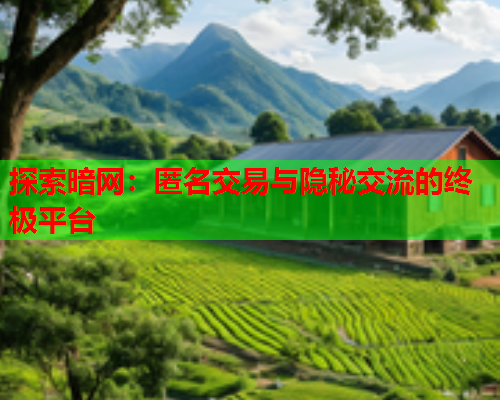 探索暗网：匿名交易与隐秘交流的终极平台  第1张